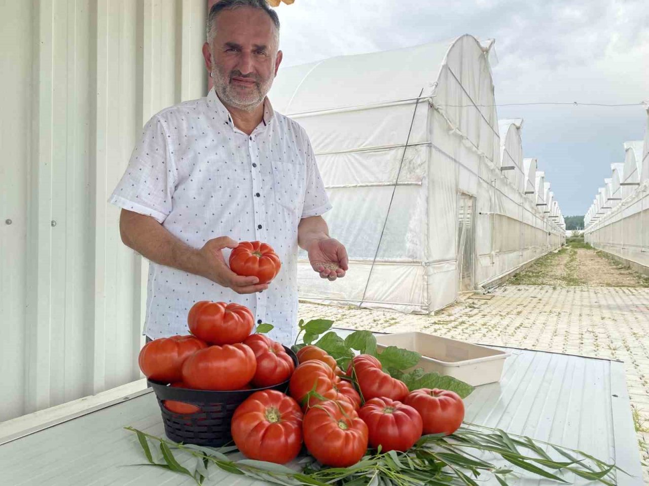 7 türde 50 çeşit tohumu 16 ülkeye ihraç ediyor