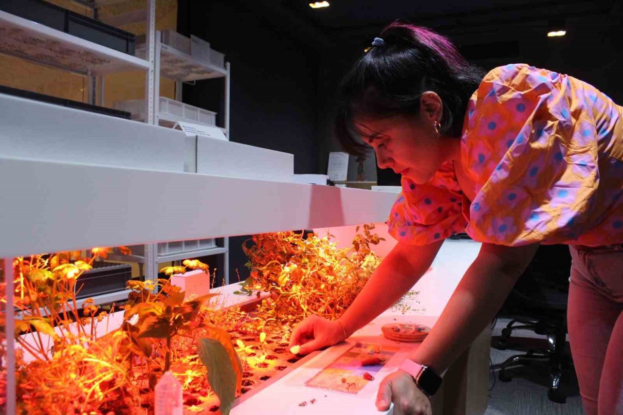 Gübre içerikli çevreci plastik