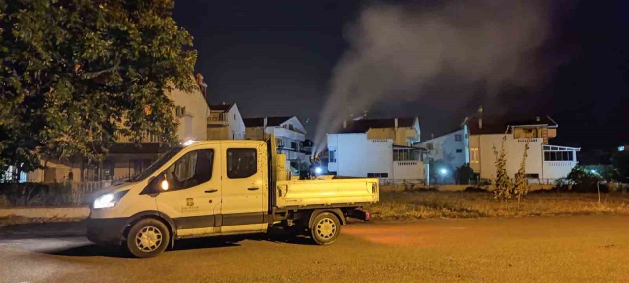 Balıkesir’de hem karadan hem de havadan haşere ile mücadele