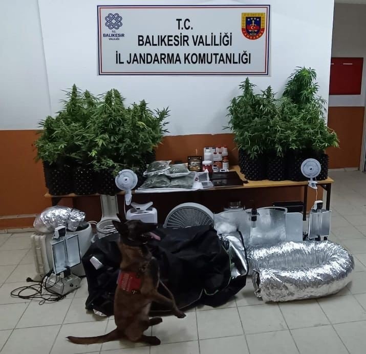 Balıkesir’de jandarmadan organize suç operasyonu; 41 gözaltı