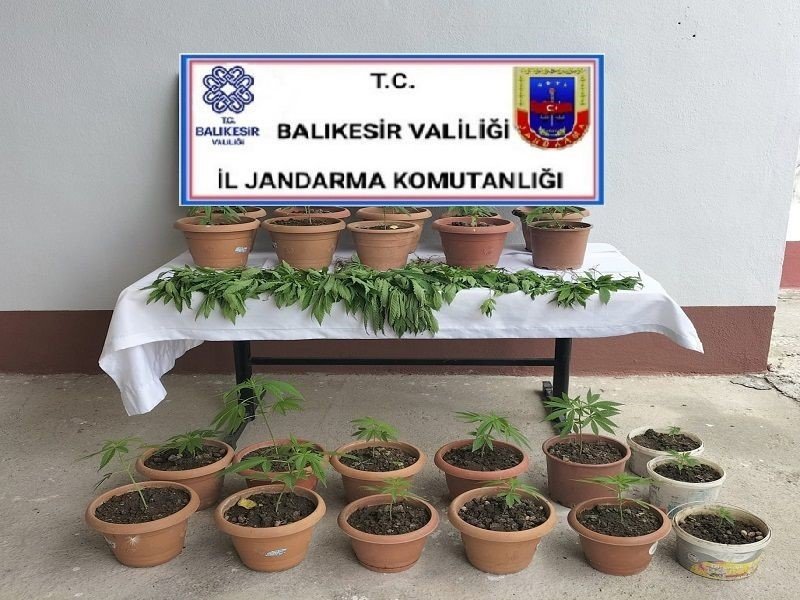 Balıkesir’de jandarmadan organize suç operasyonu; 41 gözaltı