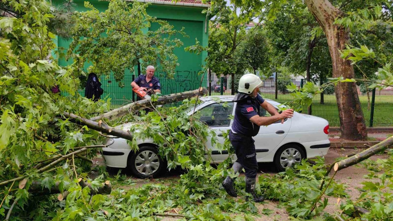 Ölümden saniyelerle kurtuldu, başına gelenlerden sonra kiraz topladı