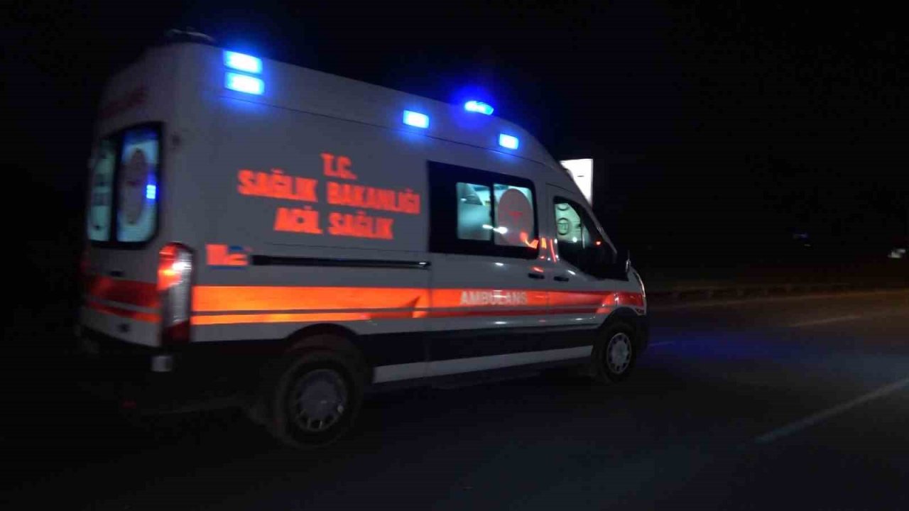 Aydınlatma direğine çarpan otomobildeki 2 kişi yaralandı