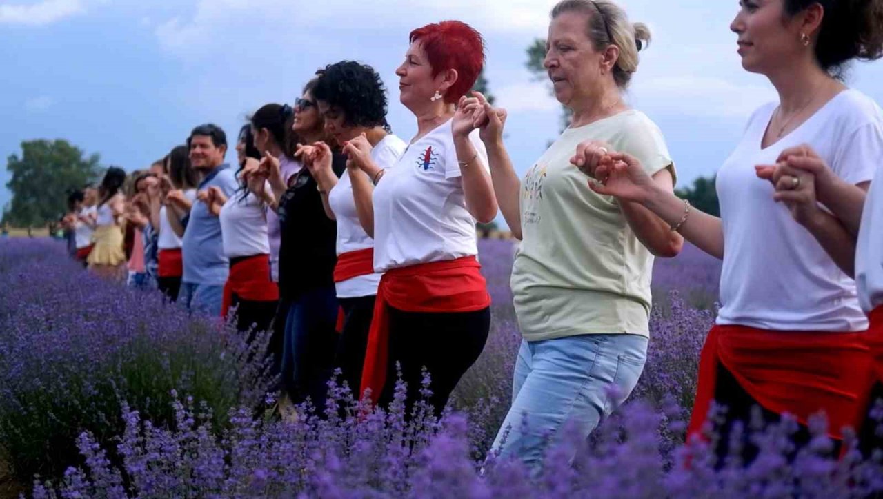 Onlarca kişi aynı anda lavanta tarlasında halay çekti, oyun oynadı