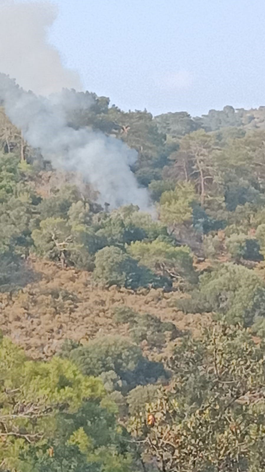 Fethiye’de çıkan orman yangını söndürüldü