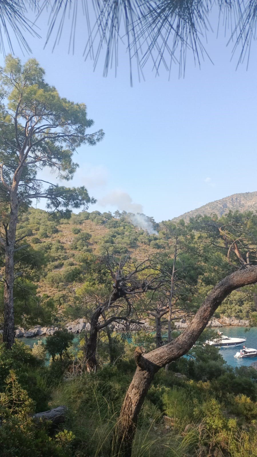 Fethiye’de çıkan orman yangını söndürüldü