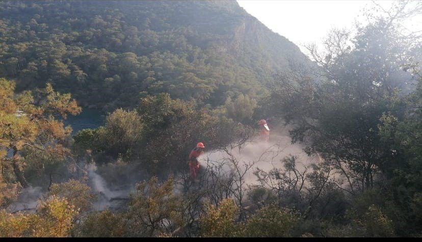 Fethiye’de çıkan orman yangını söndürüldü