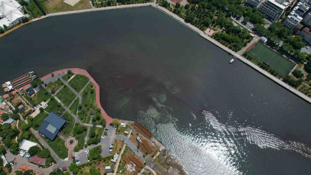 Haliç’te korkutan görüntü