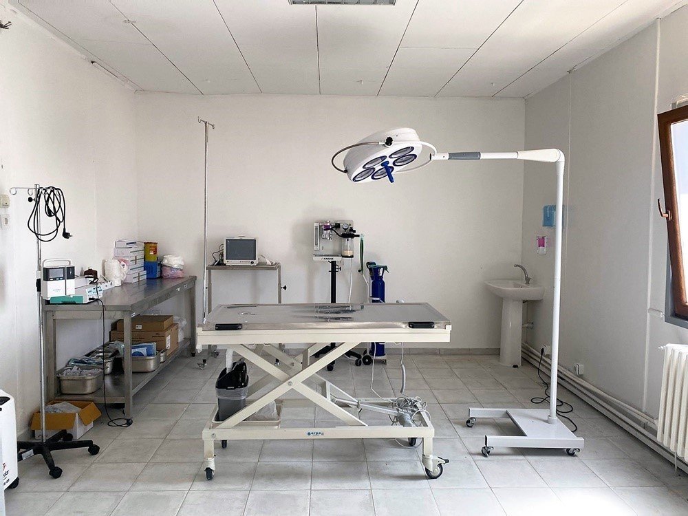 Kastamonu’da hayvan hastanesi, hizmet vermeye başladı