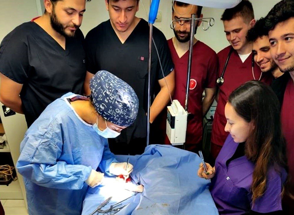 Kastamonu’da hayvan hastanesi, hizmet vermeye başladı