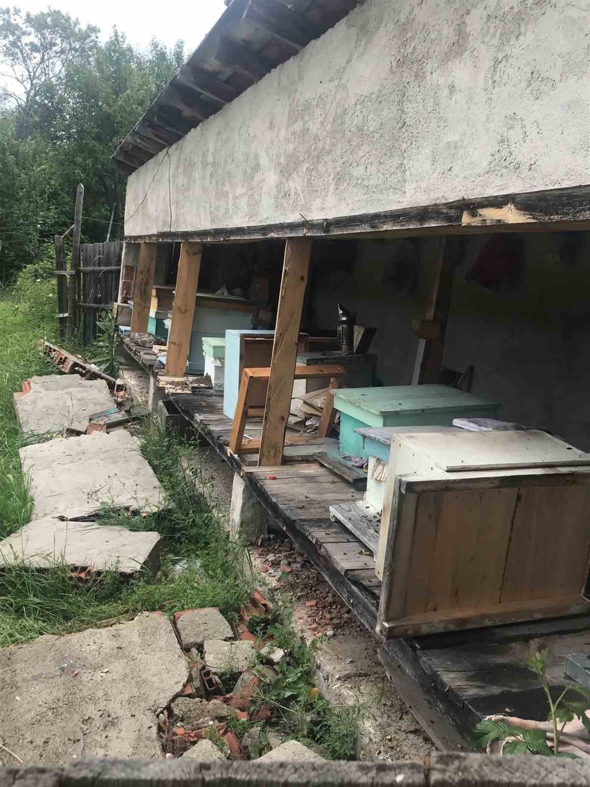 Aç kalan ayılar arı kovanlarını parçaladı
