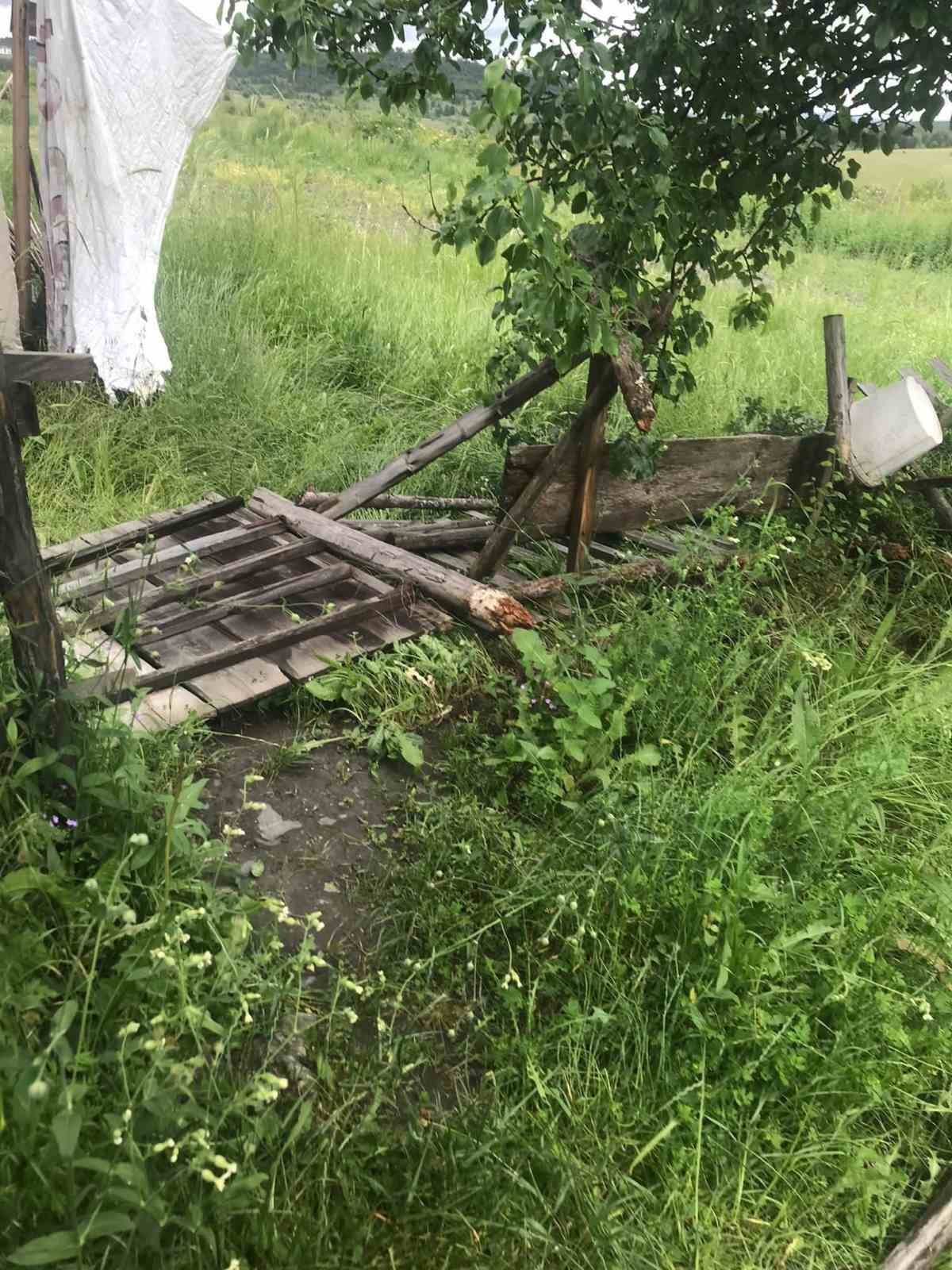 Aç kalan ayılar arı kovanlarını parçaladı