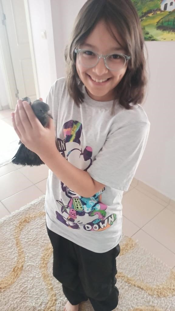 İtfaiyeden 1 saatlik güvercin kurtarma operasyonu