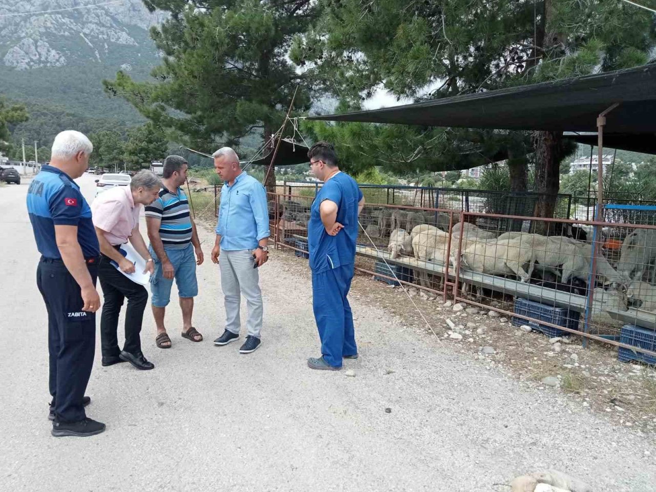 Kurban satış yerlerinde denetim