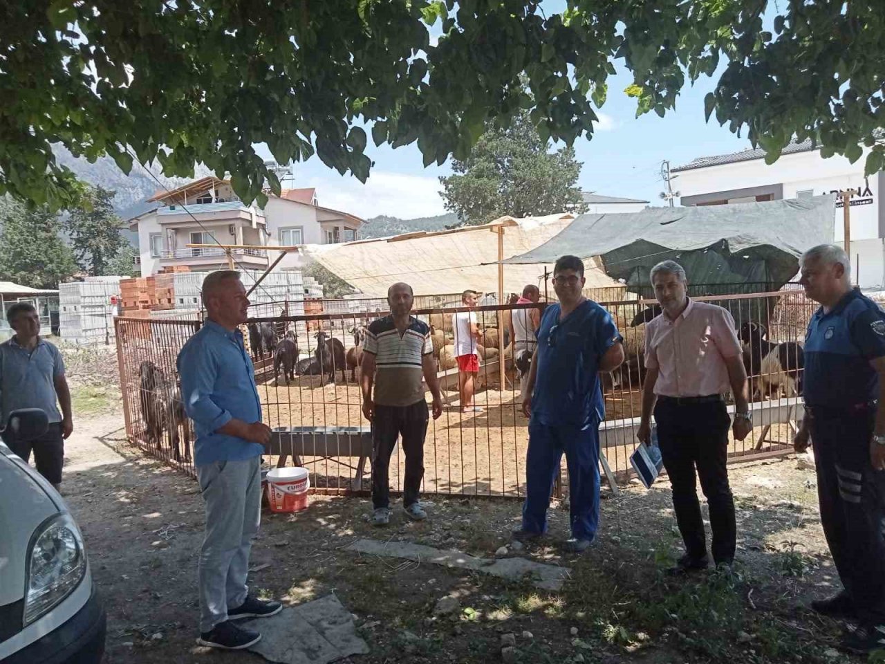 Kurban satış yerlerinde denetim