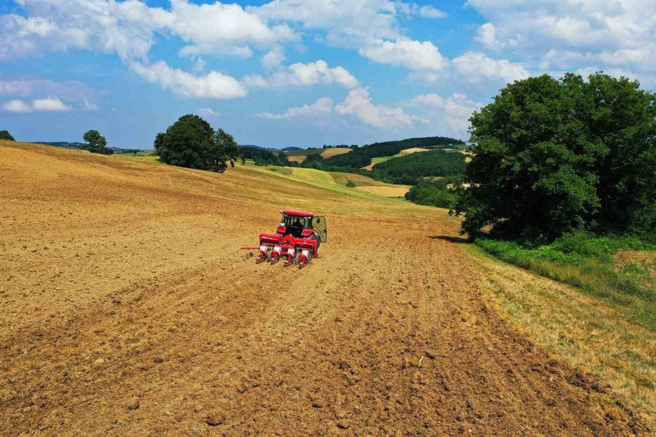 Kooperatiflere yüzde 75 hibeli tarım desteği