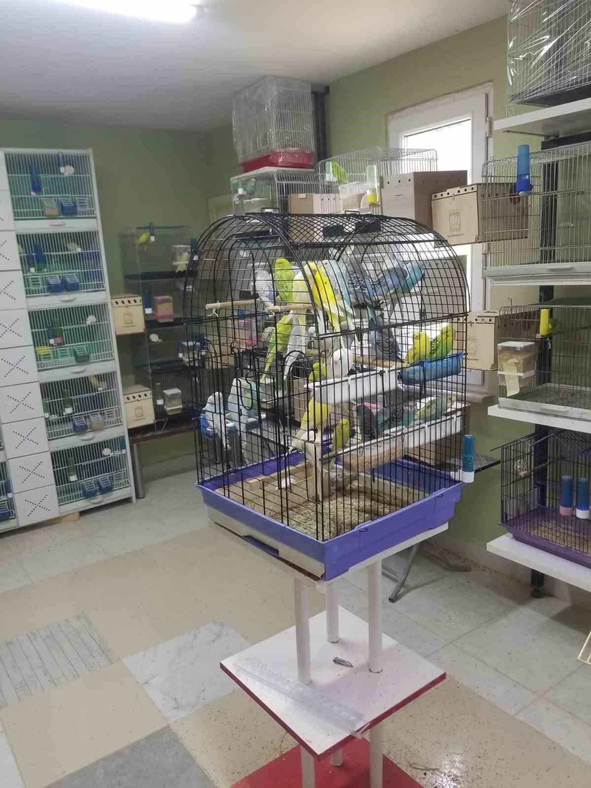 Sinop’tan Türkiye’ye ’muhabbet’ gönderiyor