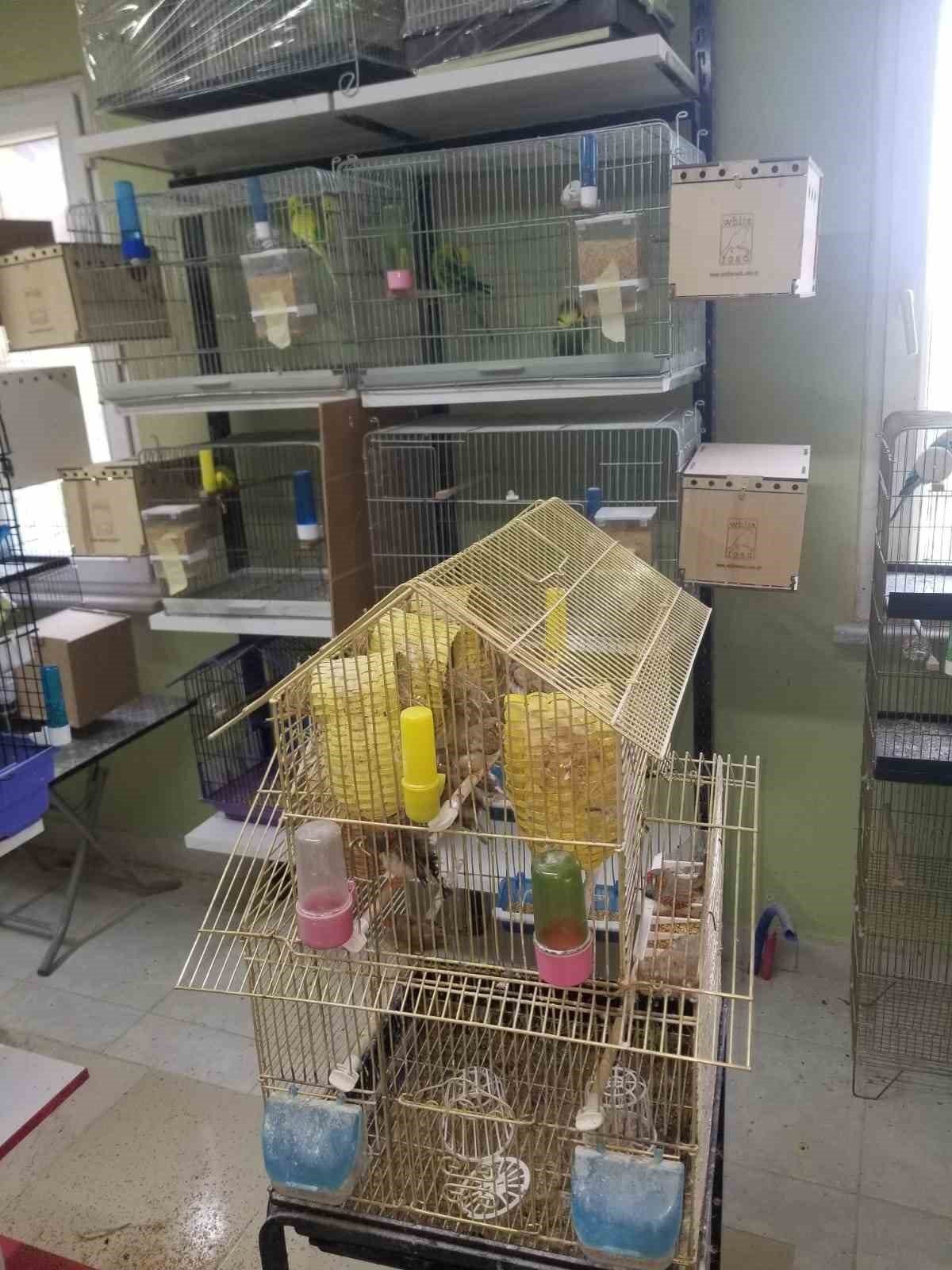 Sinop’tan Türkiye’ye ’muhabbet’ gönderiyor