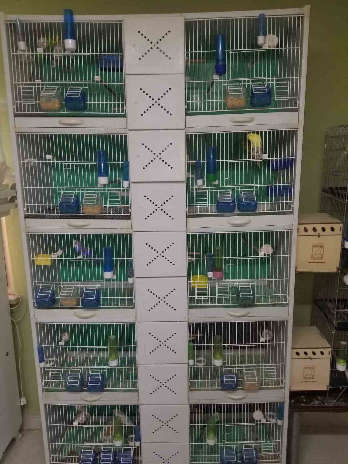 Sinop’tan Türkiye’ye ’muhabbet’ gönderiyor