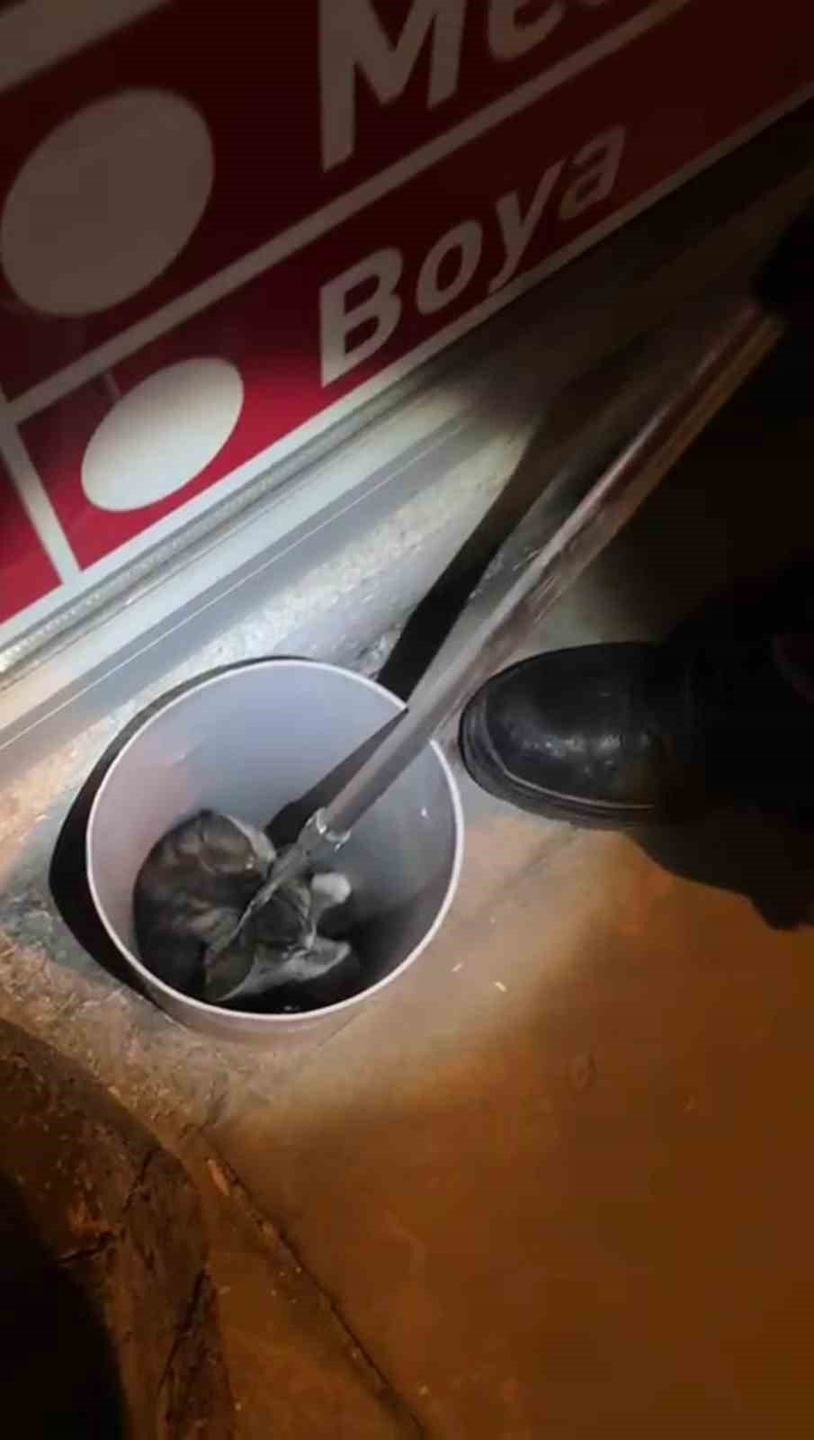 Anne kedi yardım istedi, itfaiye ekipleri kurtardı