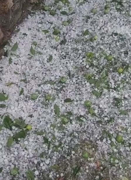 20 dakika boyunca yağan dolu sonrası cadde ve sokaklar beyaza büründü