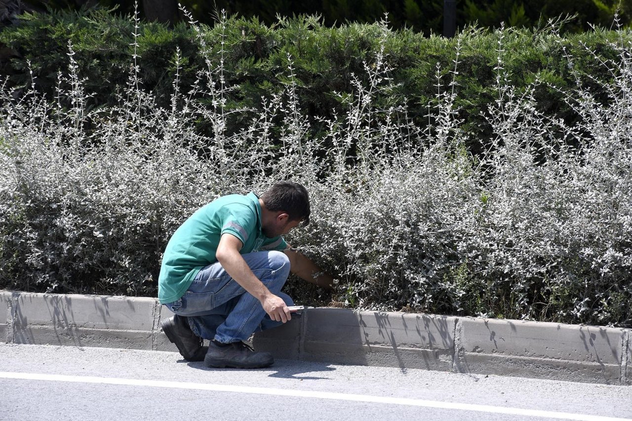 Kuşadası’nda yeşil seferberlik sürüyor