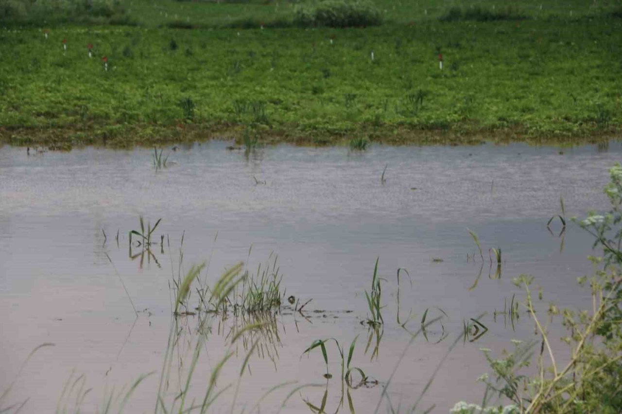 Sandıklı’da sağanak yağış tarım arazilerine zarar verdi