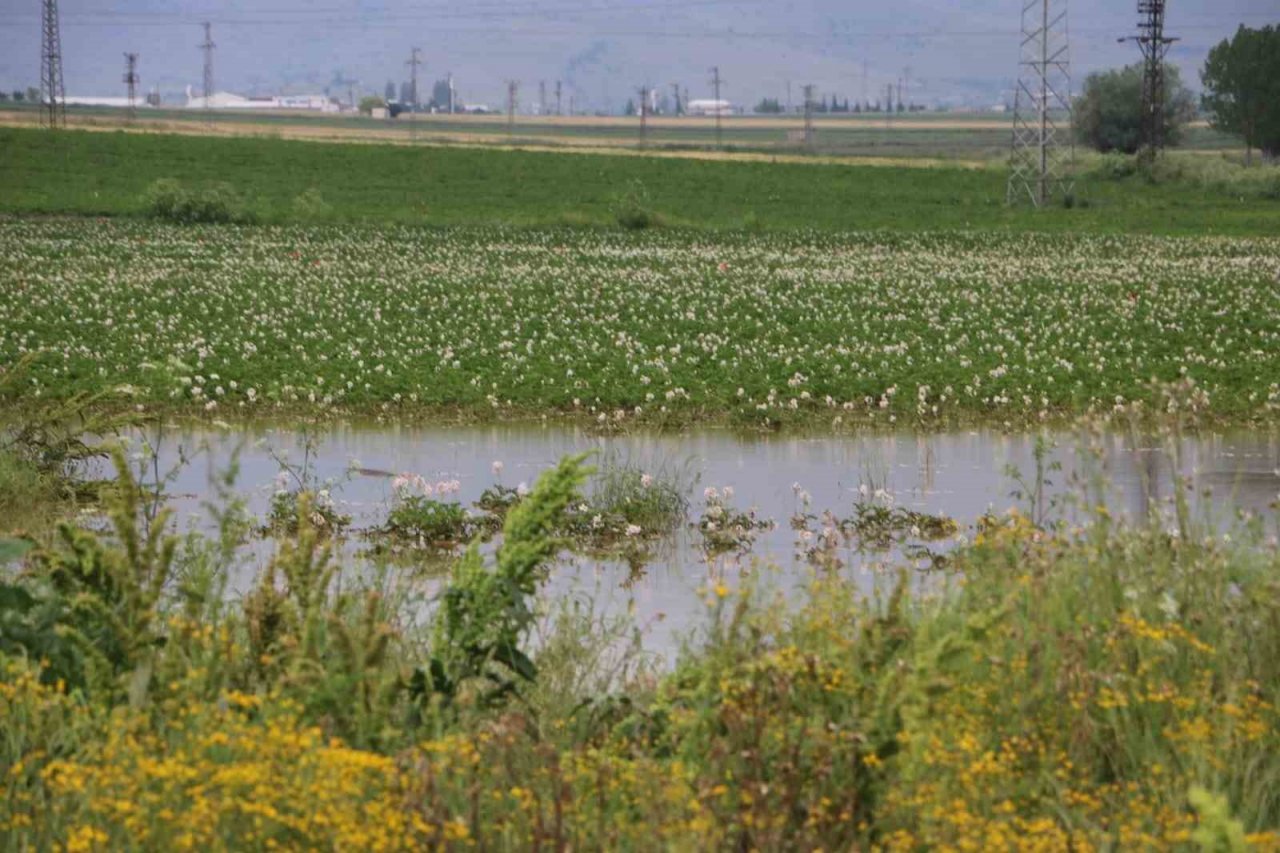 Sandıklı’da sağanak yağış tarım arazilerine zarar verdi