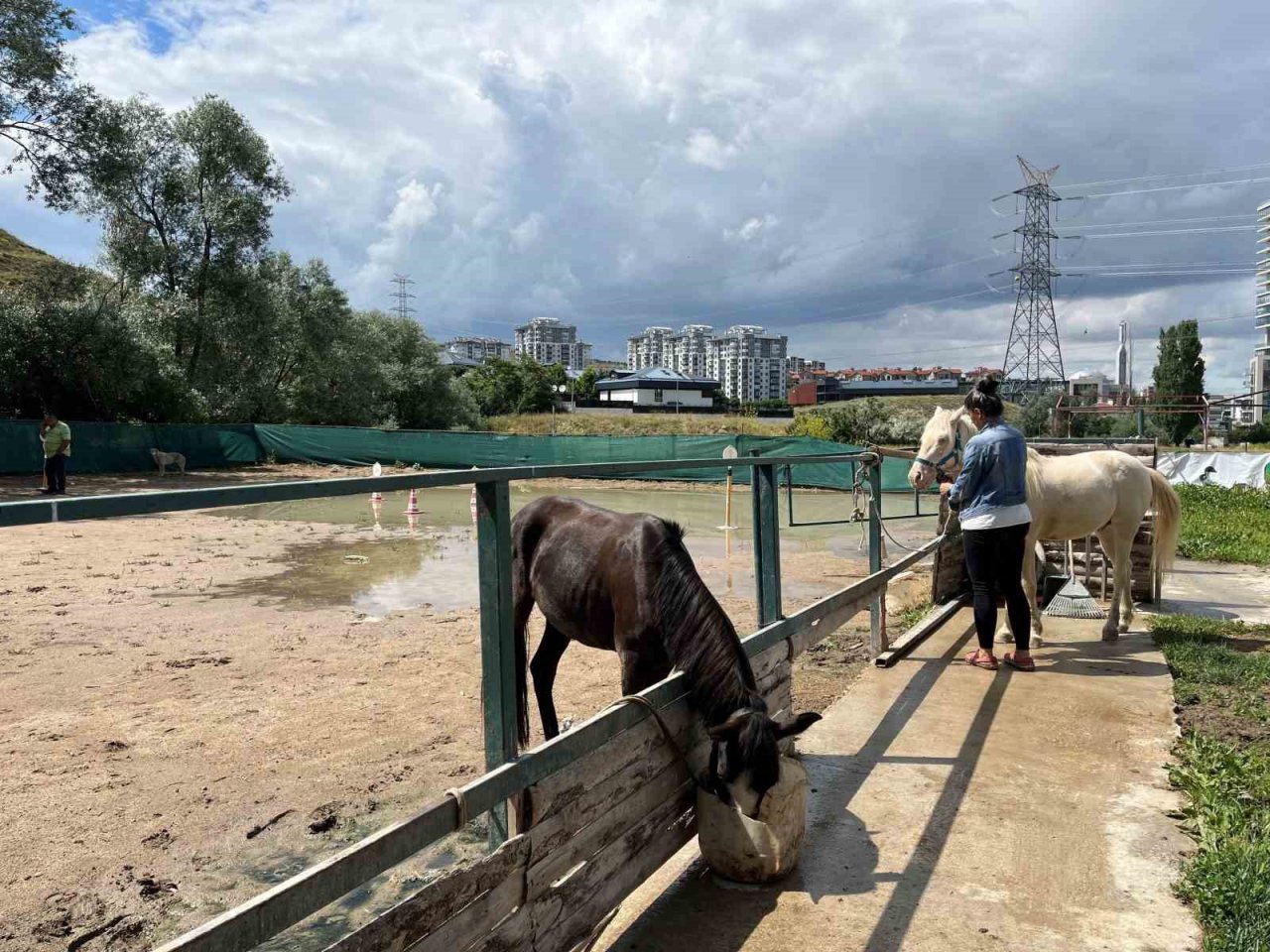Özel ihtiyaçlı bireylerin eğitim aldığı at çiftliği Çankaya Belediyesince yıkılacak