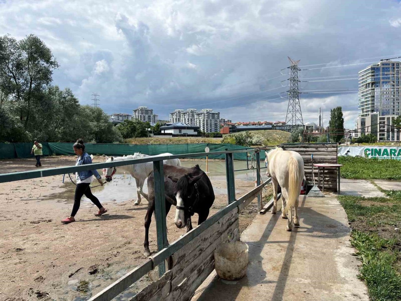 Özel ihtiyaçlı bireylerin eğitim aldığı at çiftliği Çankaya Belediyesince yıkılacak