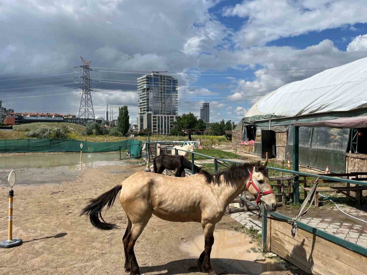 Özel ihtiyaçlı bireylerin eğitim aldığı at çiftliği Çankaya Belediyesince yıkılacak