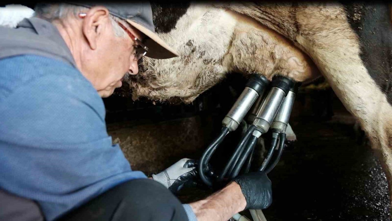 Büyükşehir Belediyesi’nden süt üreticilerine 6 tonluk süt soğutma tankı