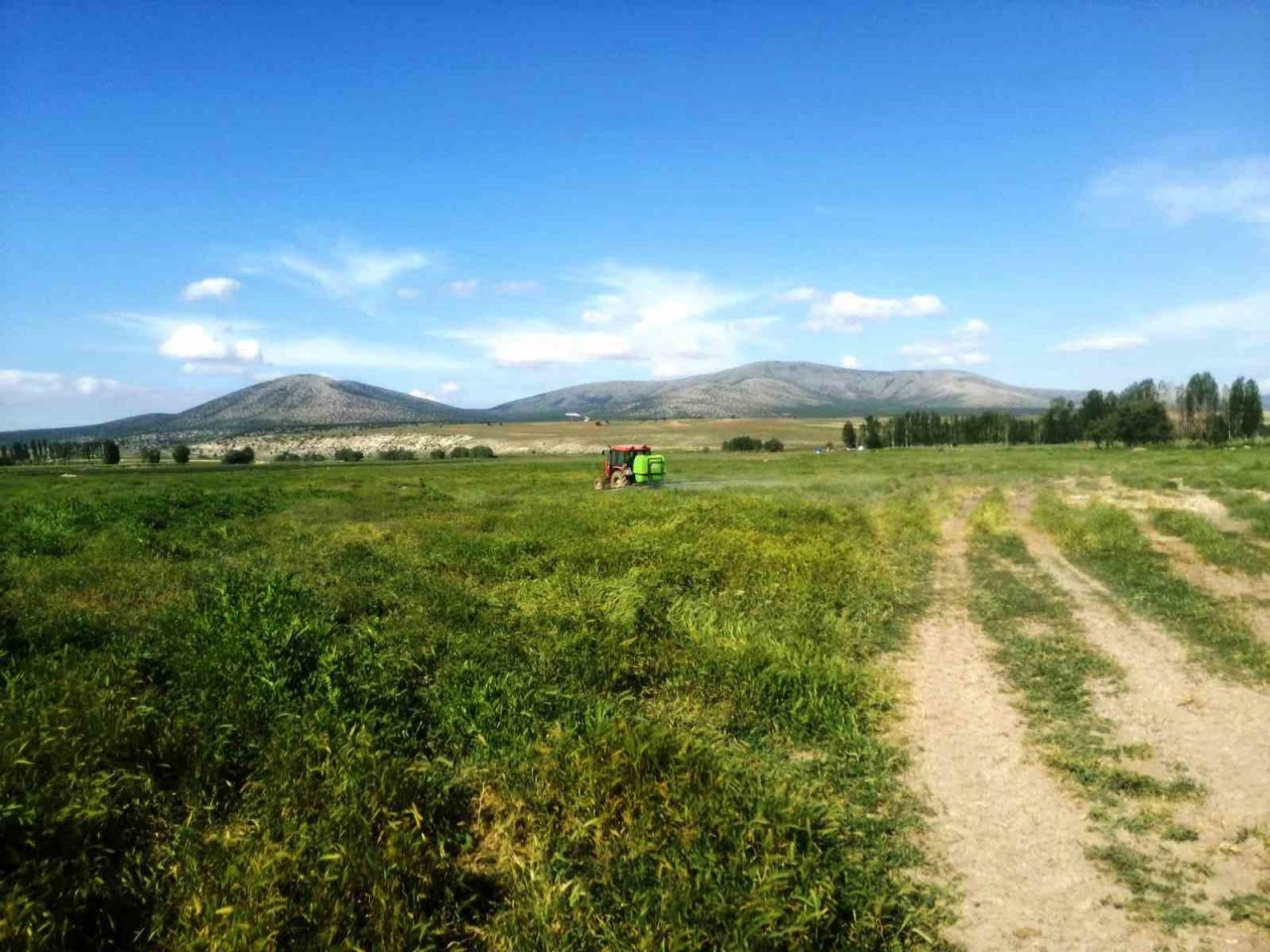Aslanapa’da meralara sıvı gübre ve hümik asit uygulaması