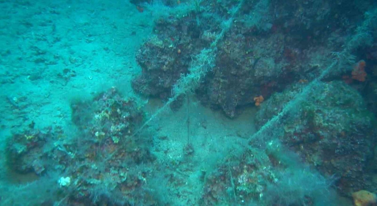 Ayvalık açıklarında doğal resiflerin üzerini kaplayan paraketa misinaları görüntülendi