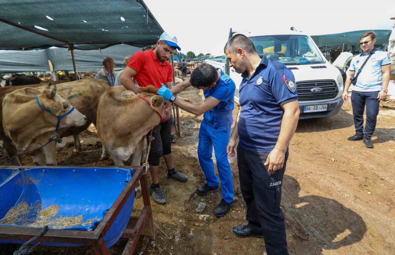 Buca’da Kurban Bayramı öncesi ekipler denetimde