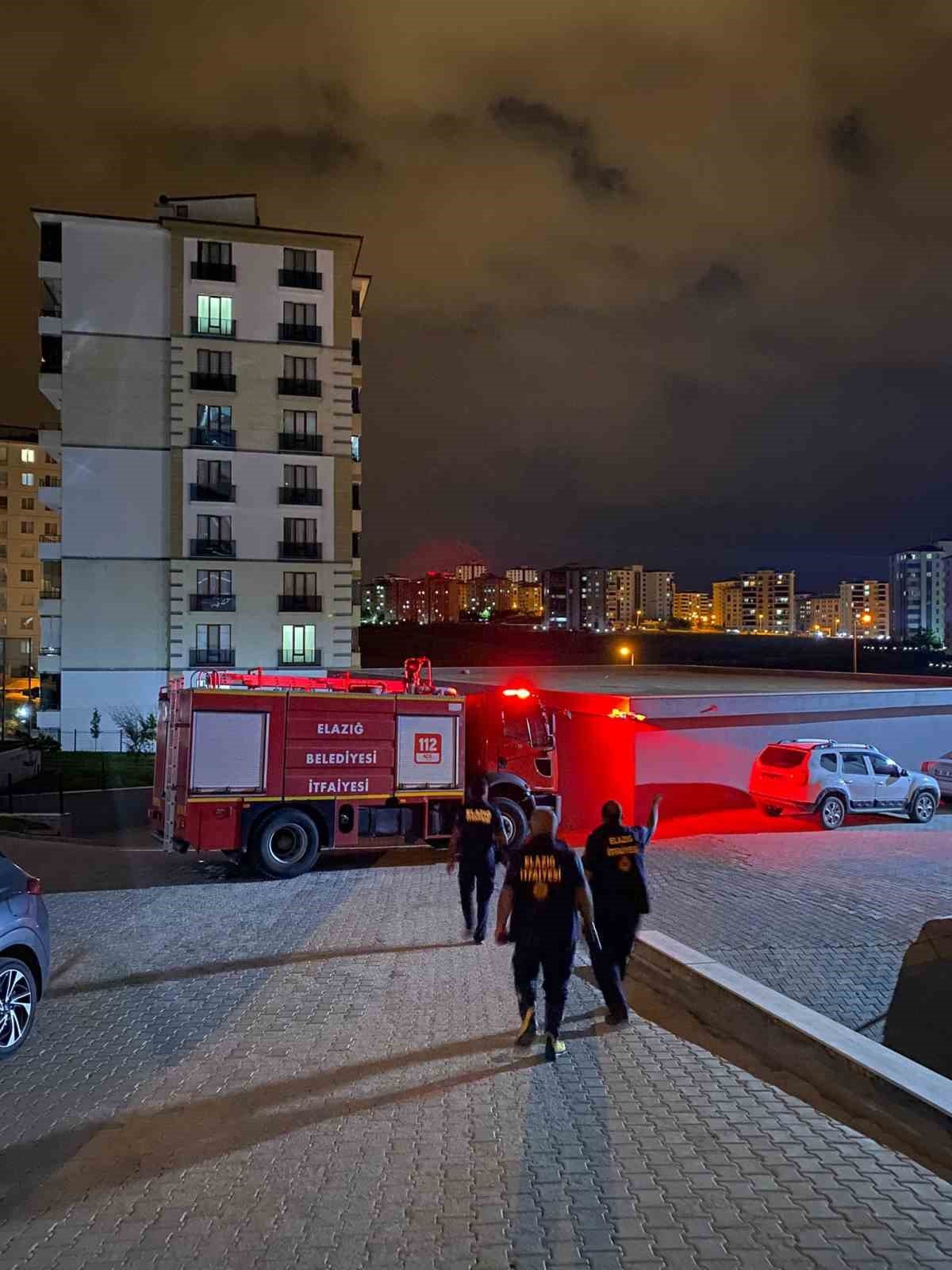 Aracın motoruna giren yılan, ekipler tarafından çıkartıldı