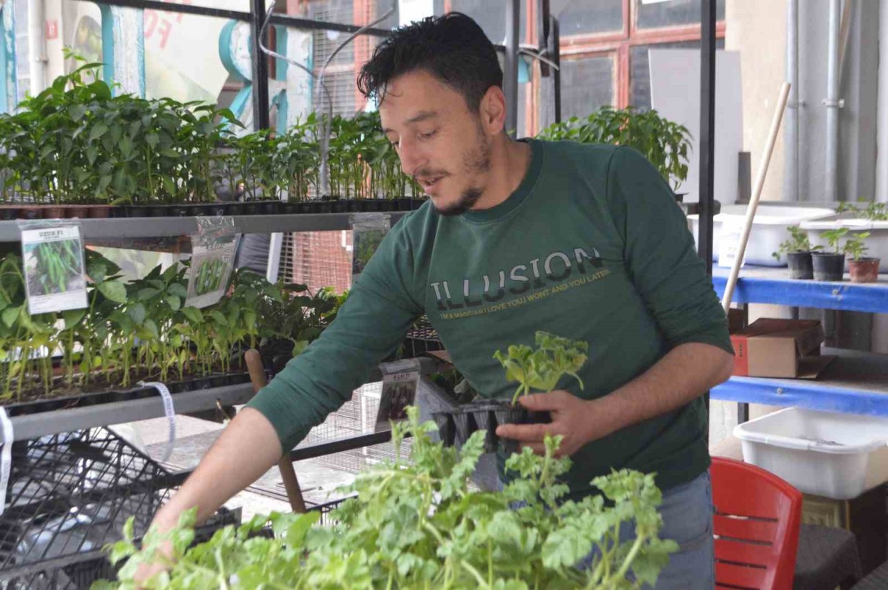 Tavşanlı’da havaların ısındı, fide satışları arttı