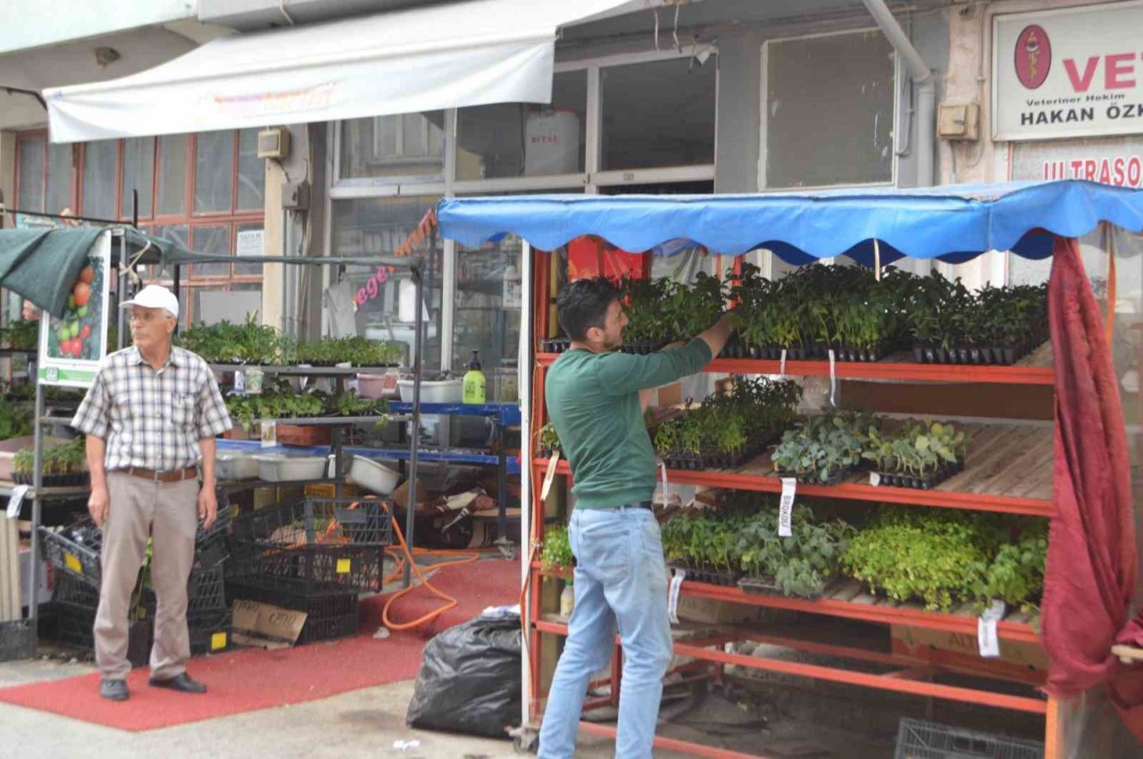 Tavşanlı’da havaların ısındı, fide satışları arttı