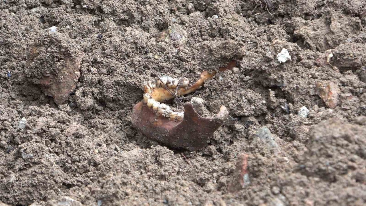 Gümüşhane’de kanalizasyon kazısında kafatası bulunan alanda çalışmalar genişletildi