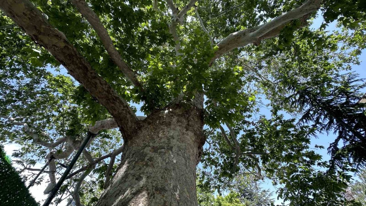 Evliya Çelebi gölgesinde not almıştı, ağırlığını kaldıramayınca güçlendirildi