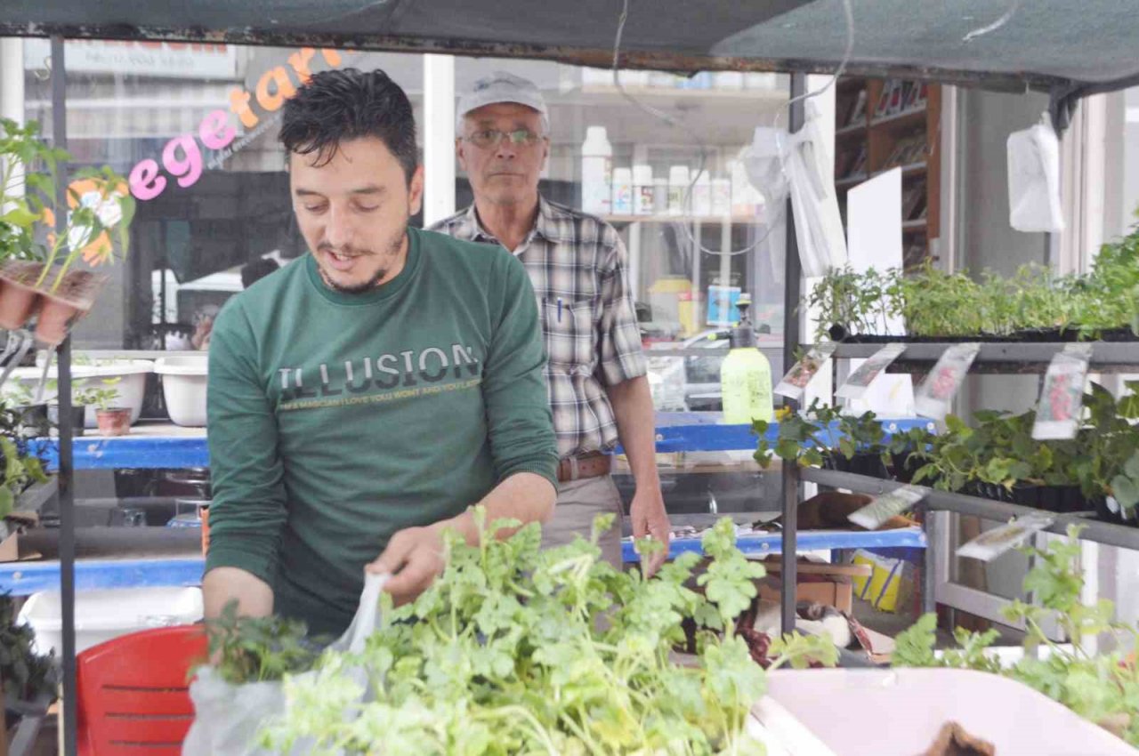 Tavşanlı’da havaların ısındı, fide satışları arttı
