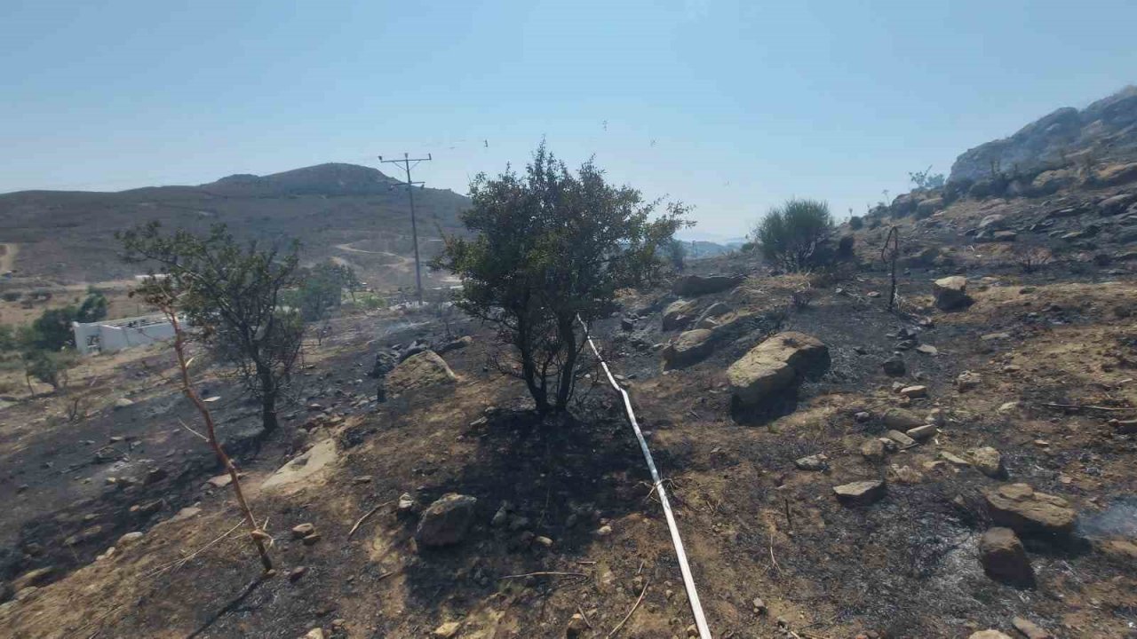 Bodrum’da otluk ve makilik yangını