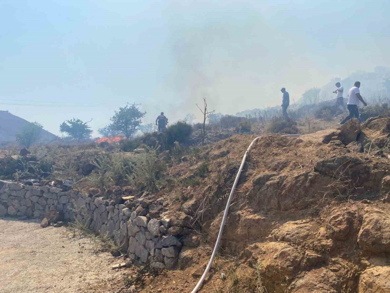 Bodrum’da otluk ve makilik yangını