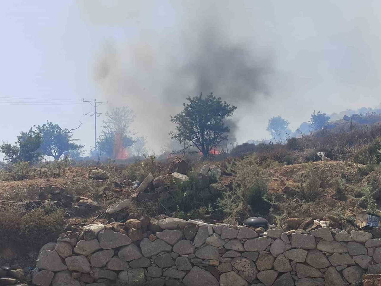 Bodrum’da otluk ve makilik yangını