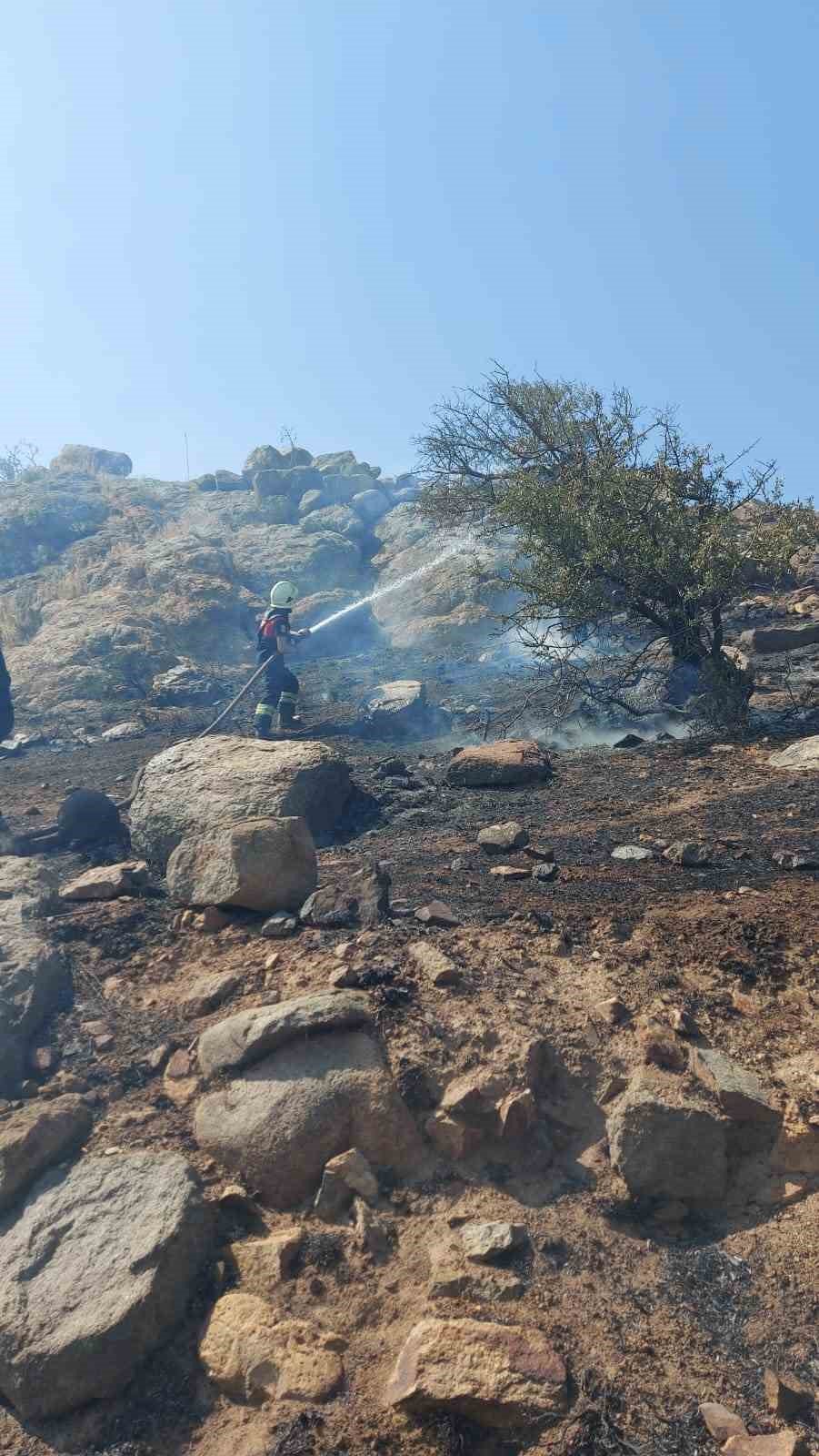 Bodrum’da otluk ve makilik yangını