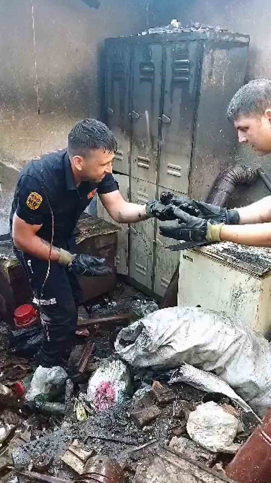 Yanan evden yavru kedi kurtarıldı