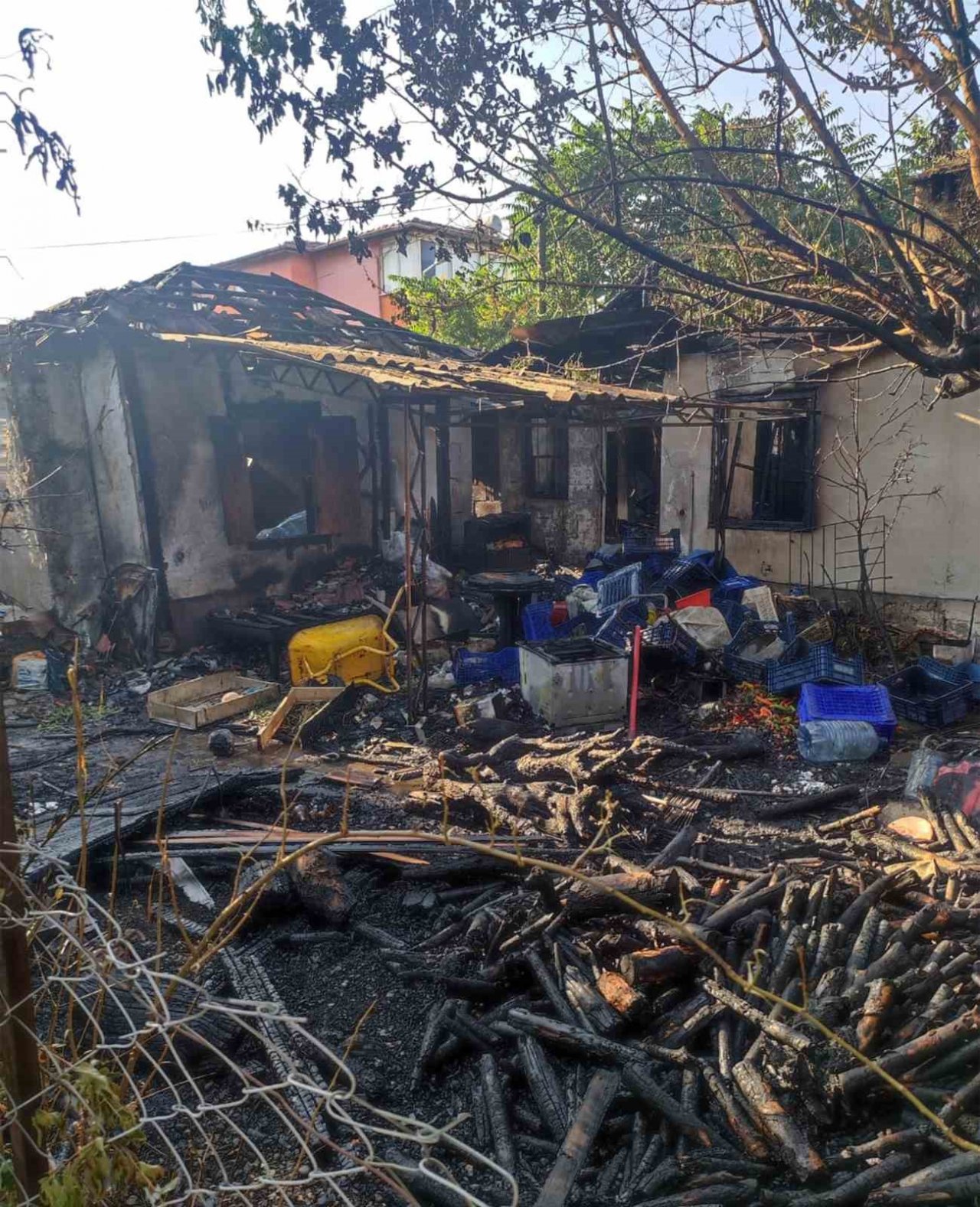 Yanan evden yavru kedi kurtarıldı