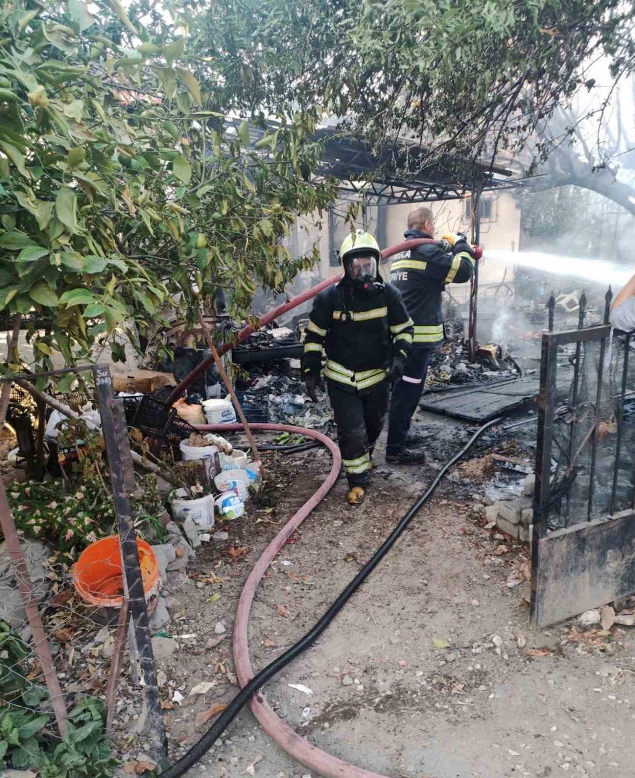 Yanan evden yavru kedi kurtarıldı