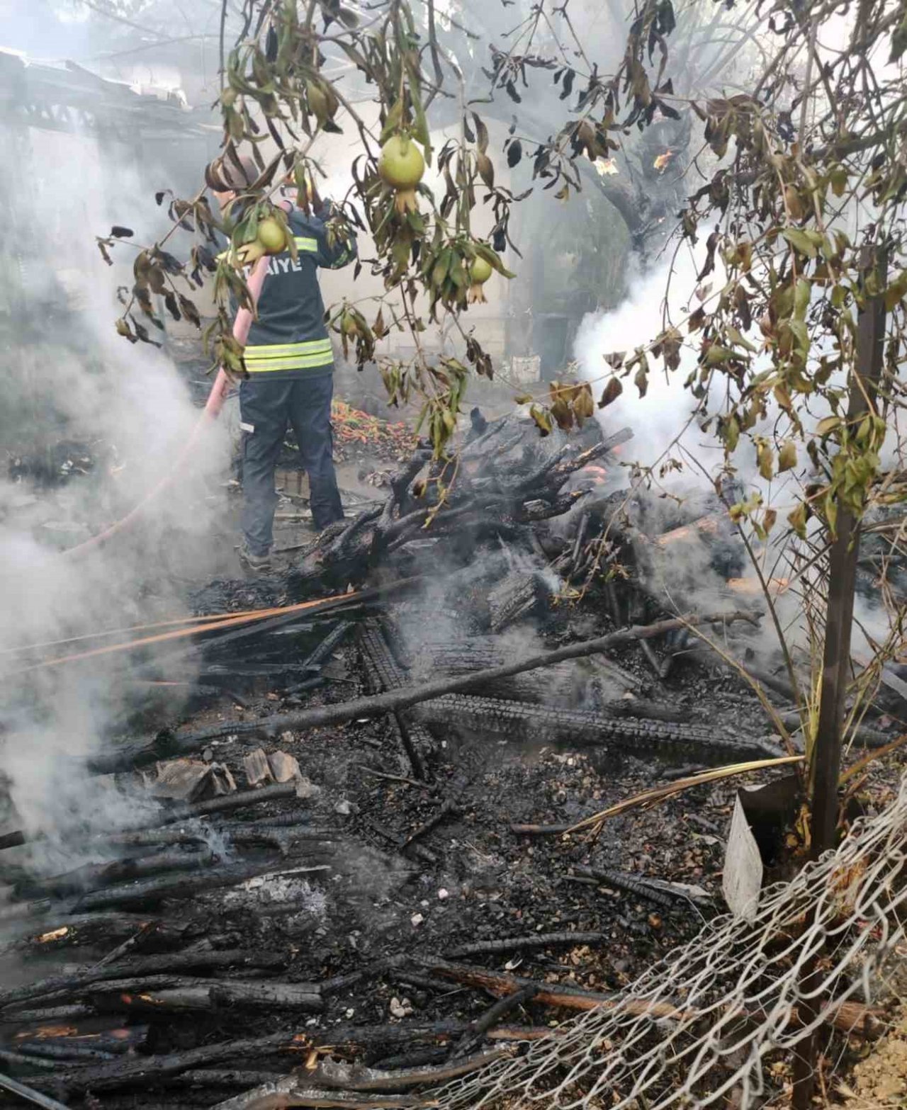 Yanan evden yavru kedi kurtarıldı