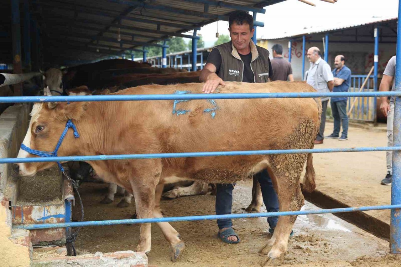 Nilüfer’de kurban kesim alanları belirlendi